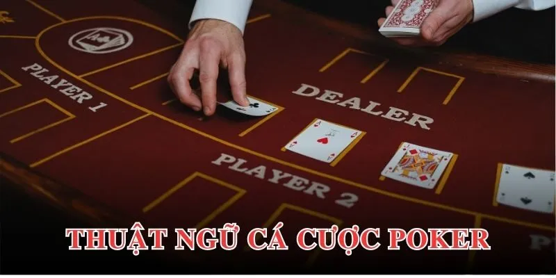 Giới thiệu chi tiết về những thuật ngữ có trong Poker Sumclub